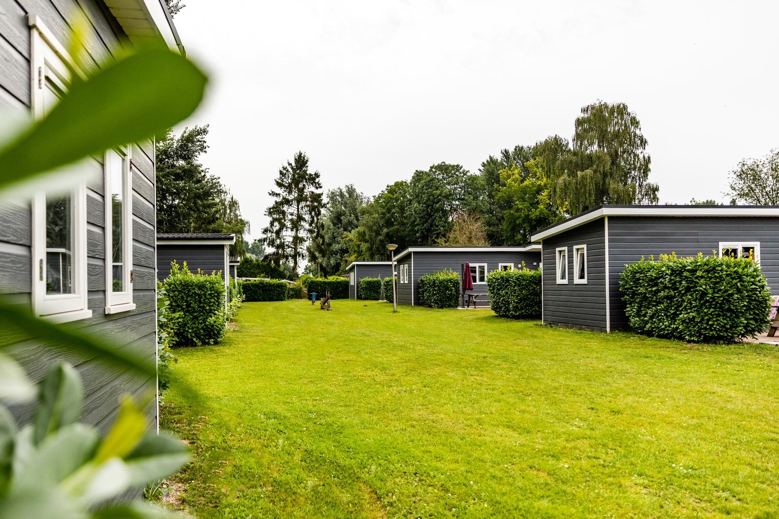 Oeverland Chalet Comfort | 5 persons