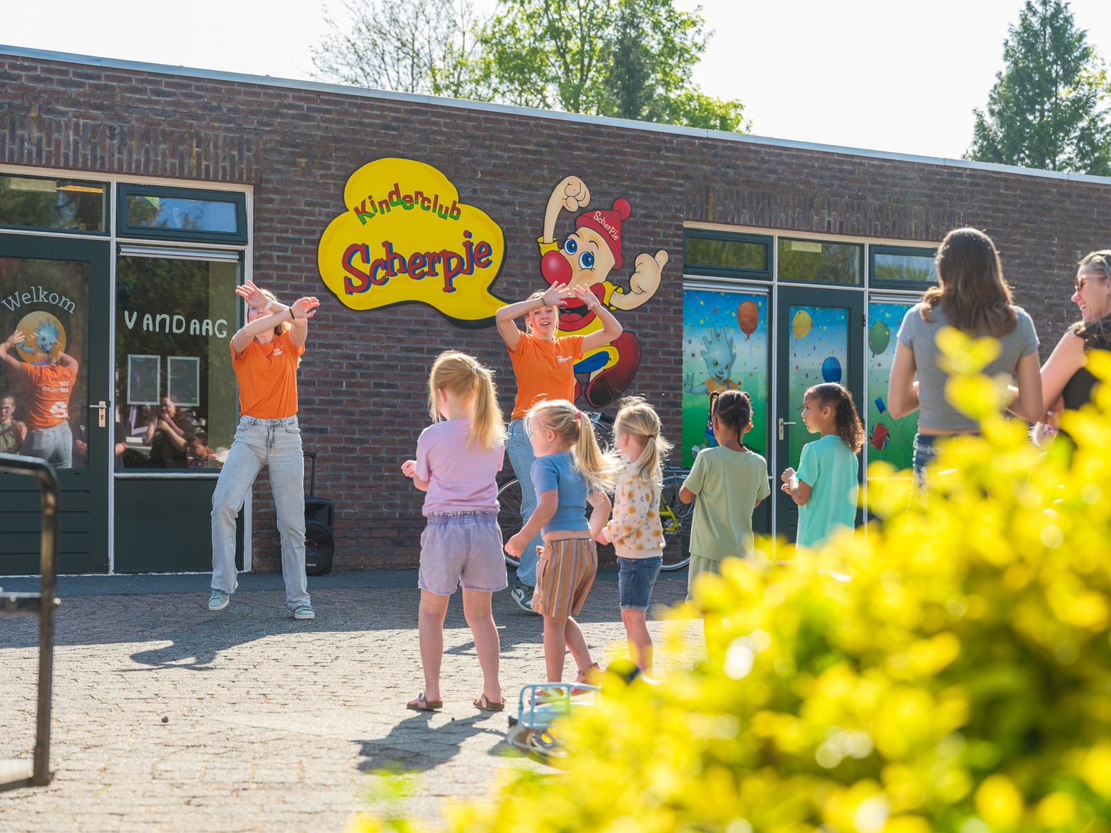 Kampeerplaats Viseiland